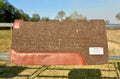 #5 Felt Work Saddle Pad