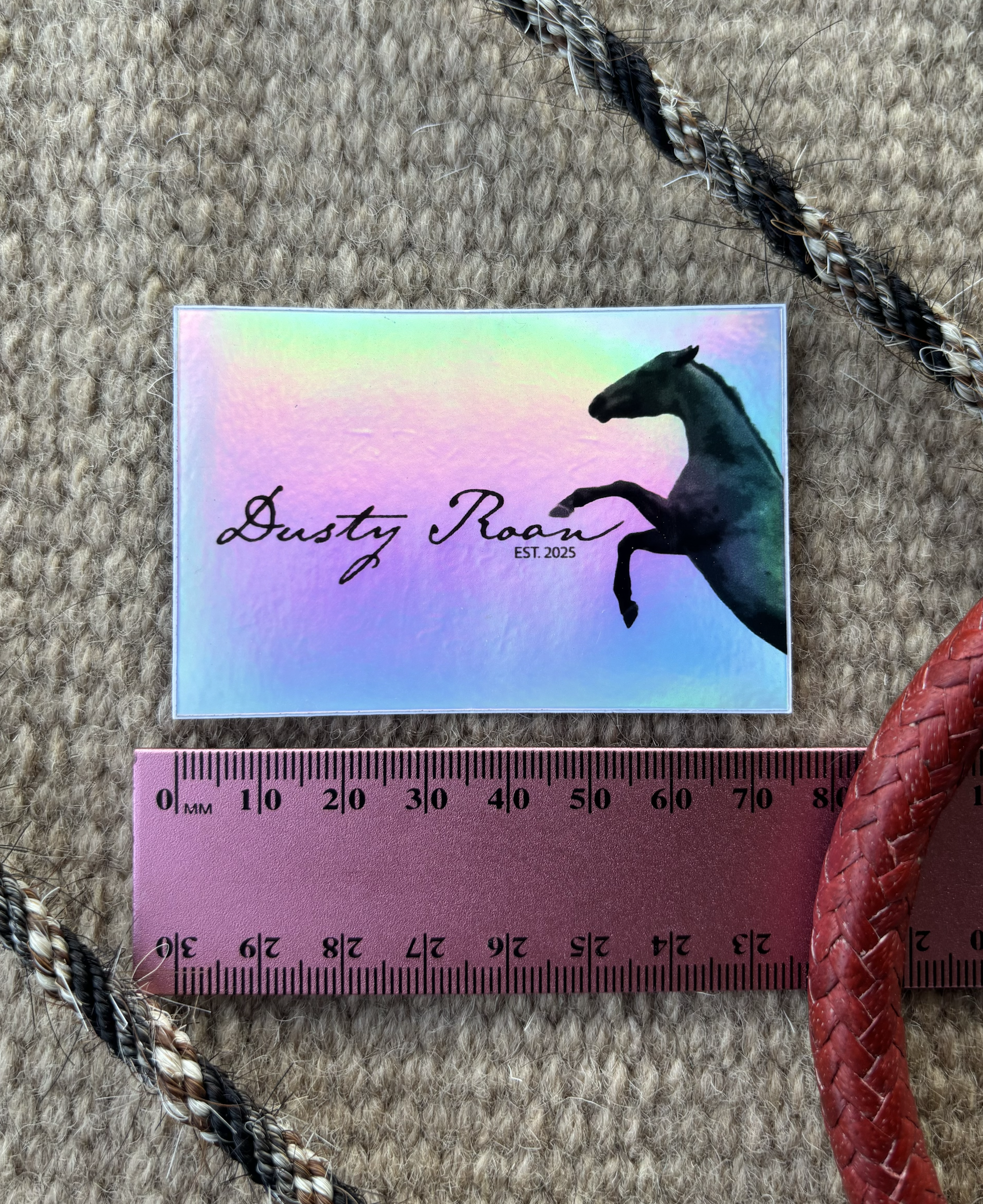 Dusty Roan Holographic Sticker 5cm x 7.5cm