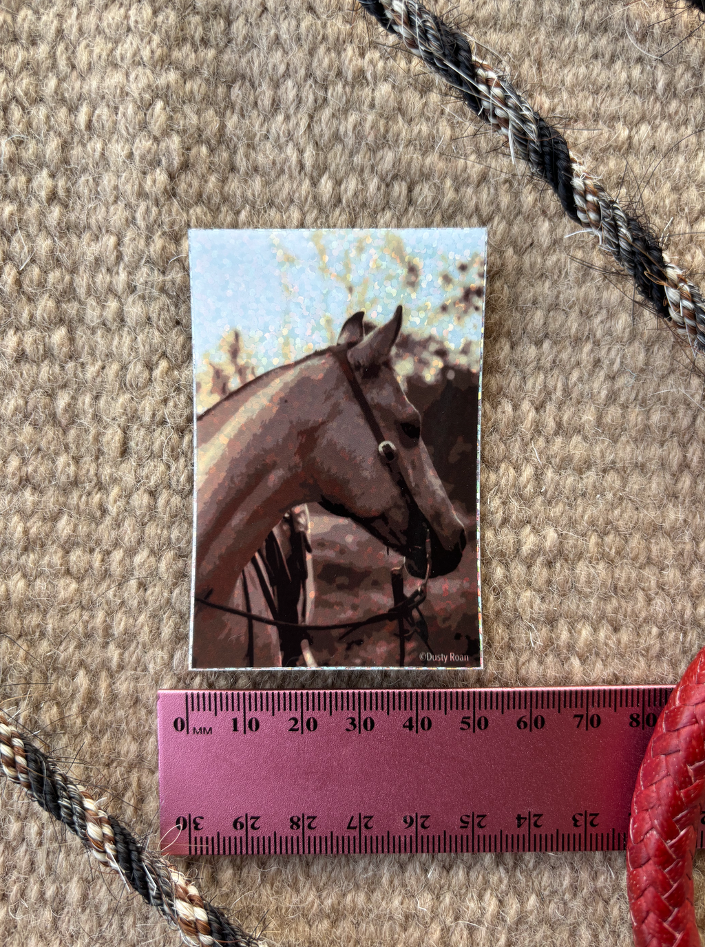 DR Glitter Horse Sticker 5cm x 7.5cm