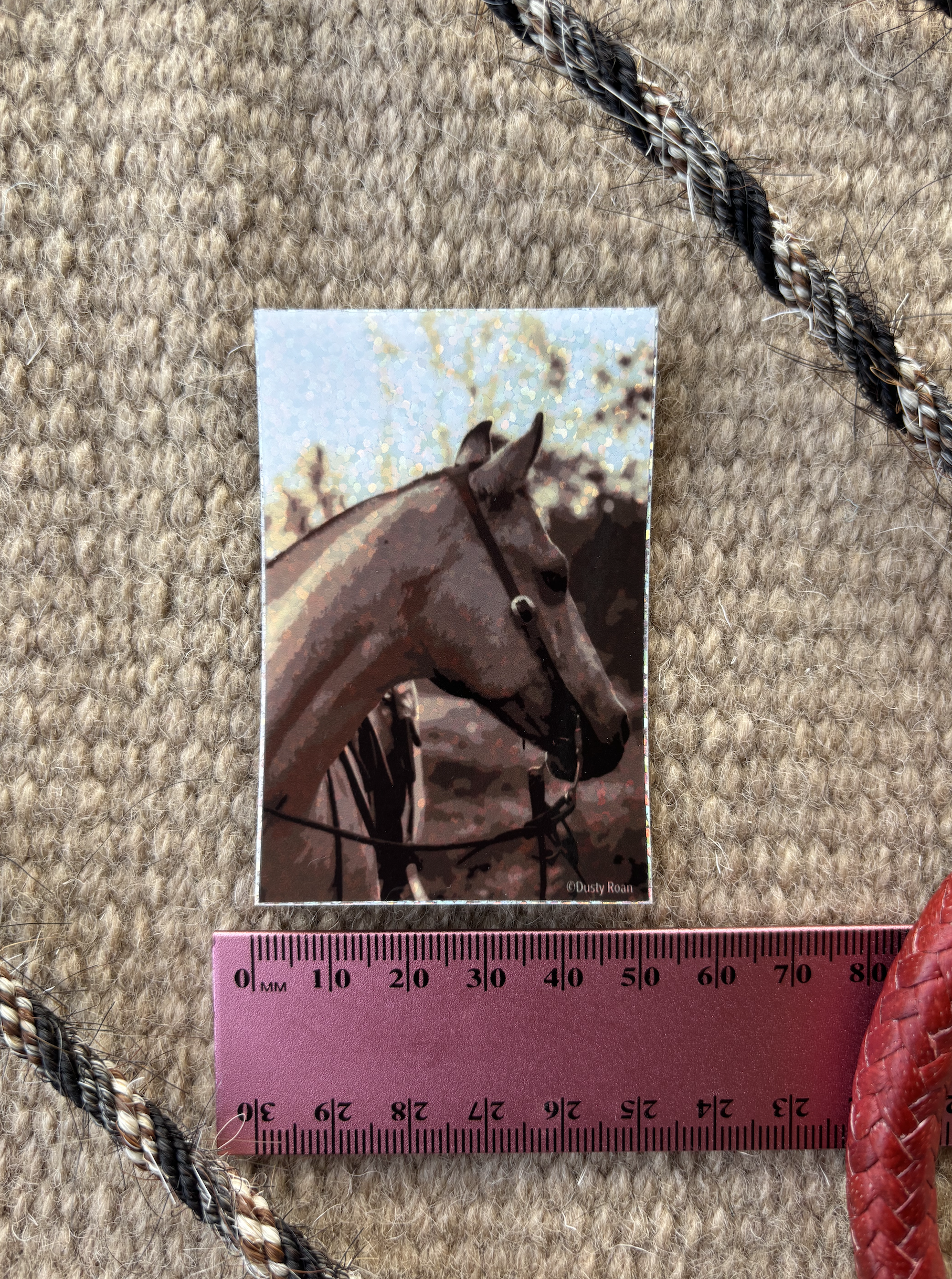 DR Glitter Horse Sticker 5cm x 7.5cm