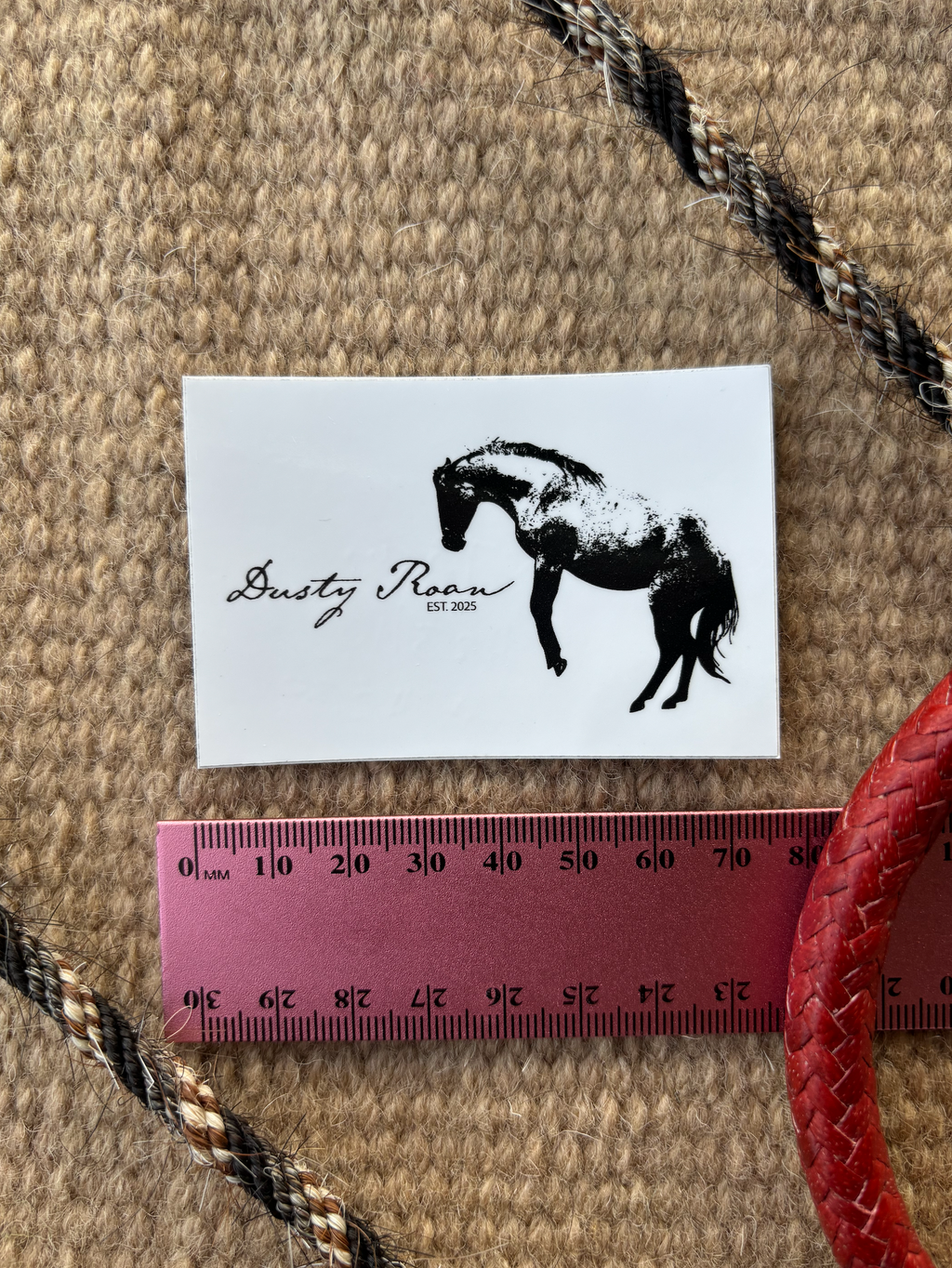 Dusty Roan 5x7cm Sticker