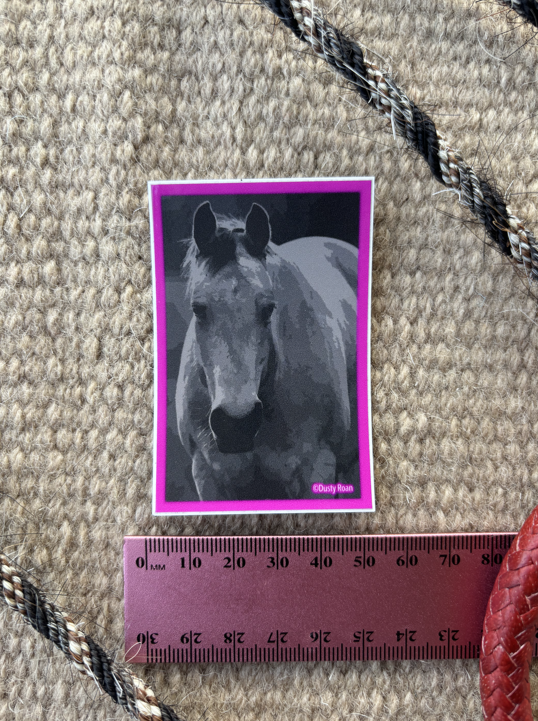 DR Horse Sticker 5x7cm