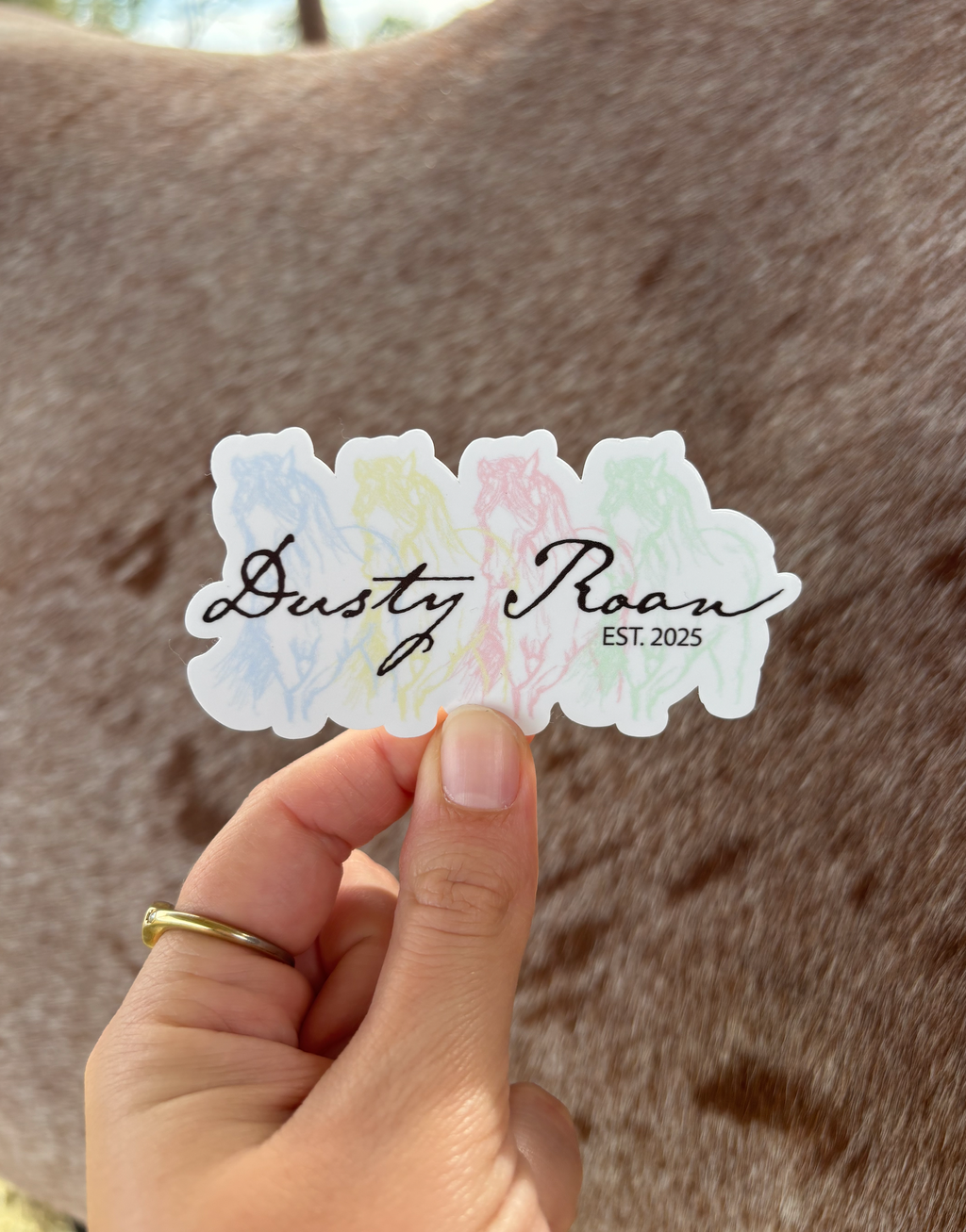 DR Sticker 4.7cm x 9cm