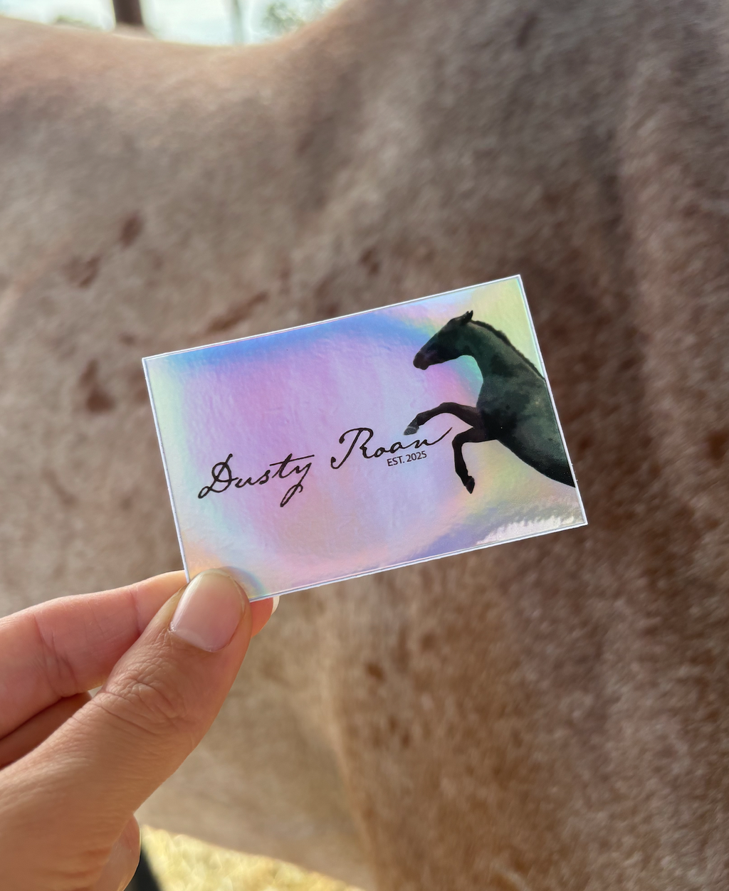 Dusty Roan Holographic Sticker 5cm x 7.5cm