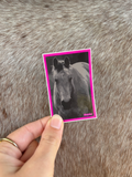 DR Horse Sticker 5x7cm