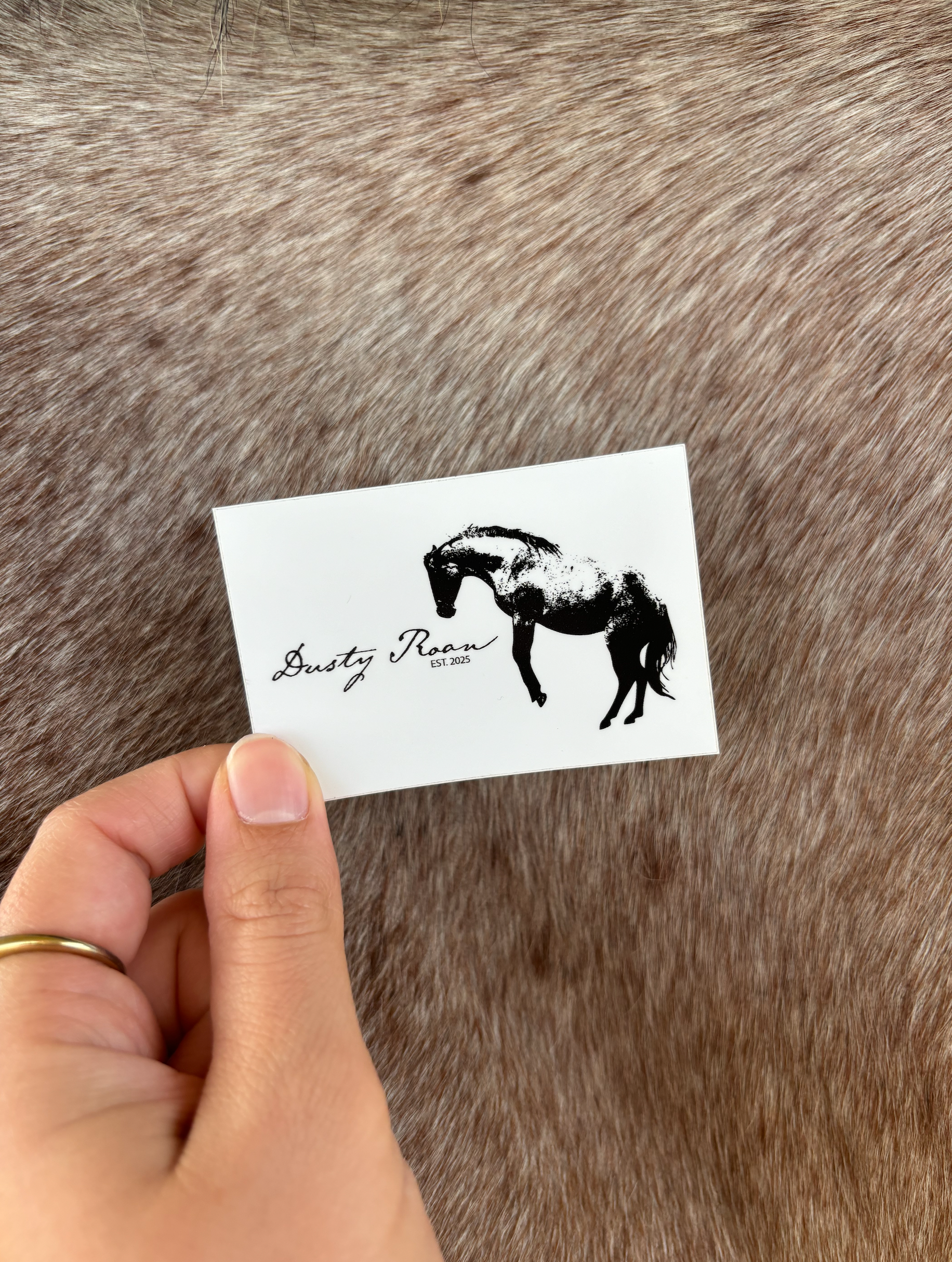 Dusty Roan 5x7cm Sticker