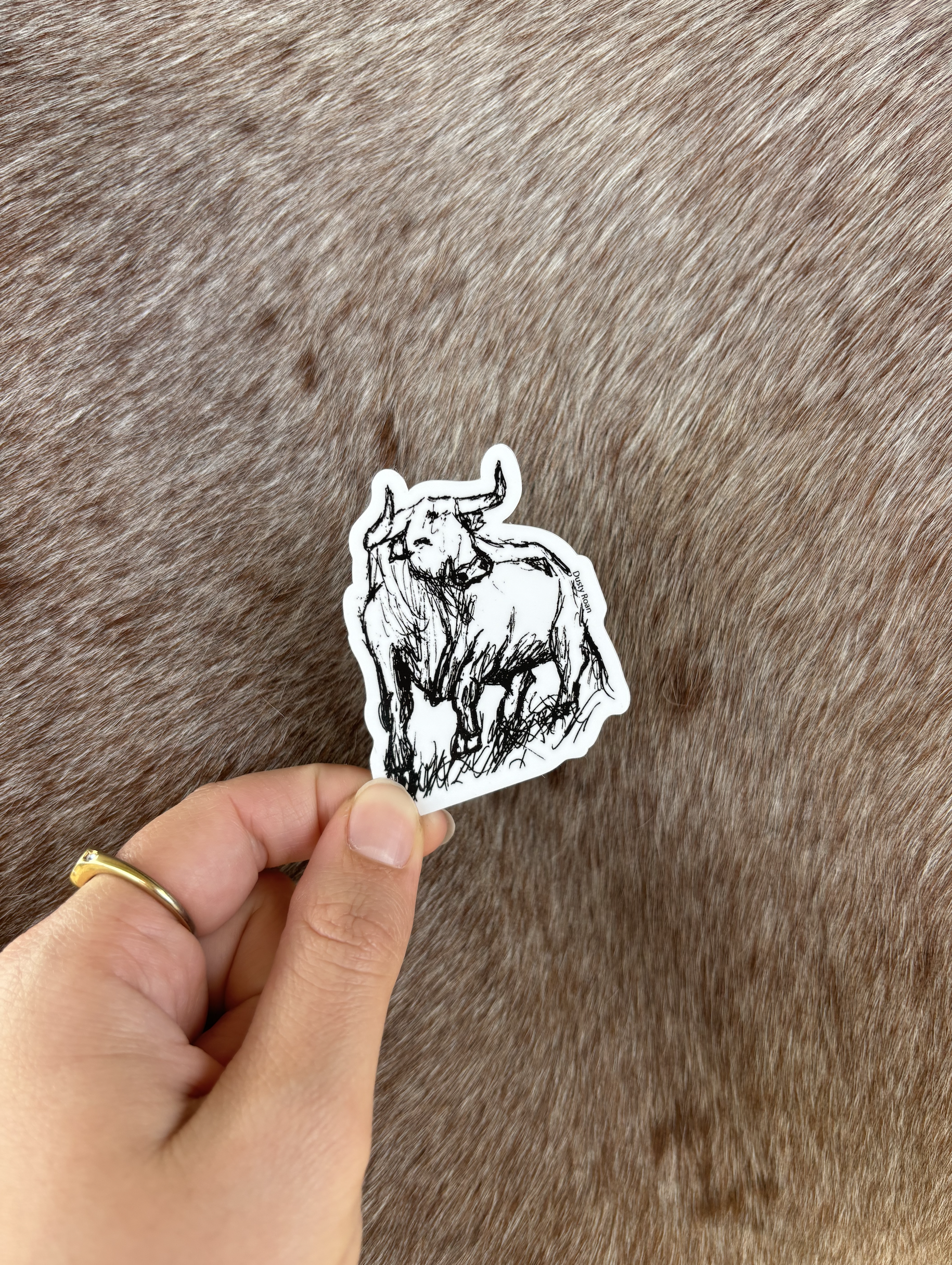 DR Bull Sketch 6cm x 5cm