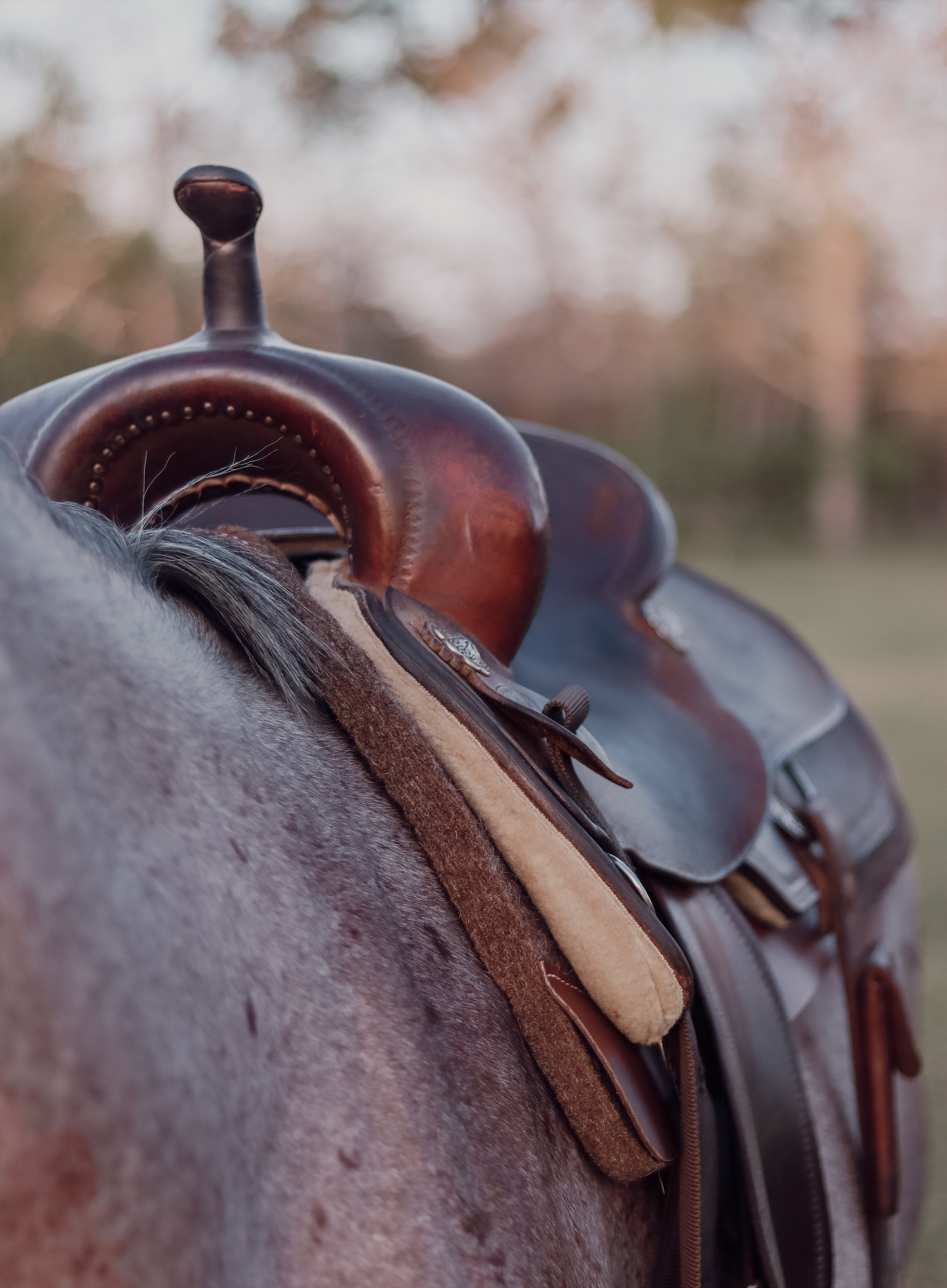 DR Felt Saddle Pad - Contour