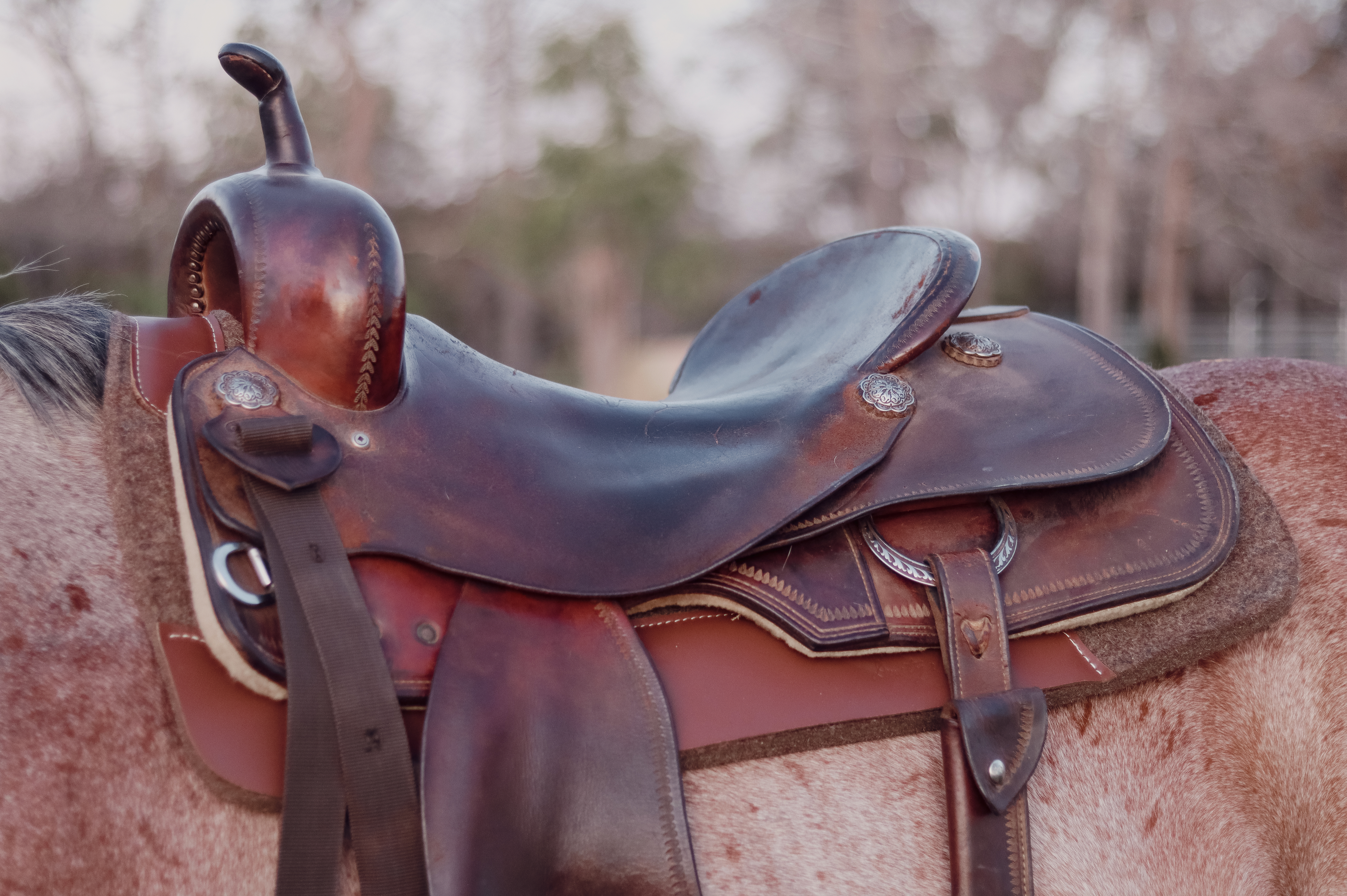 DR Felt Saddle Pad - Contour