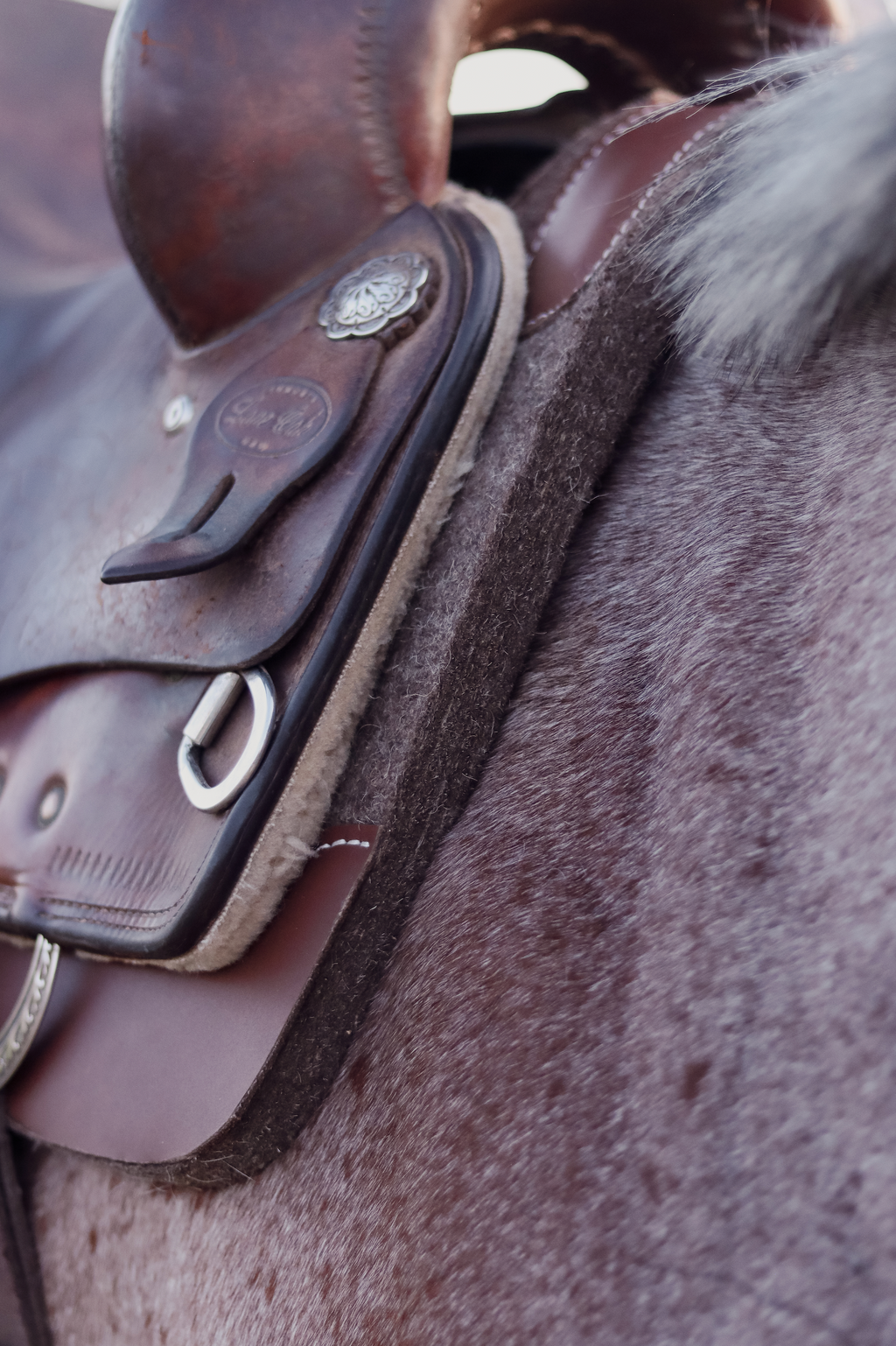 DR Felt Saddle Pad - Non-Contour