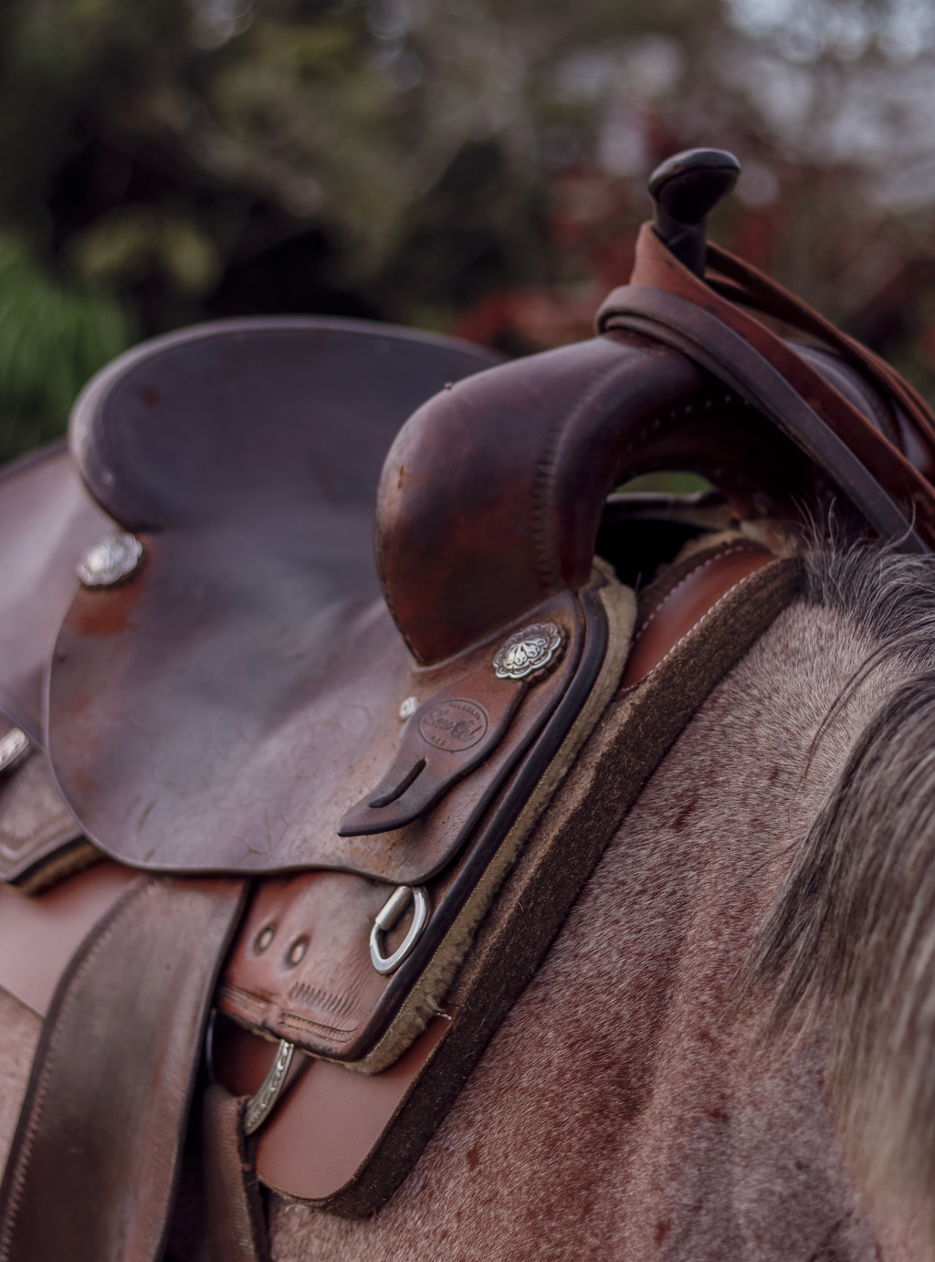 DR Felt Saddle Pad - Non-Contour