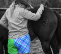 Green/Blue/Pink Plaid Footy Shorts